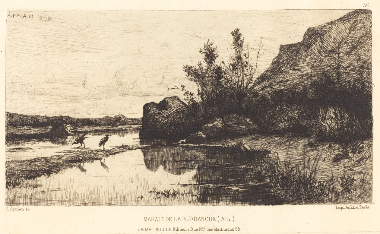 Burbanchen suo tekijältä Adolphe Appian