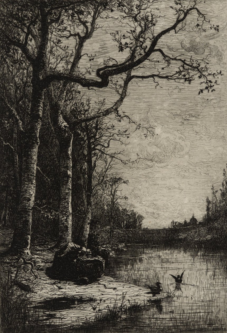 Burbanche Marsh (iso levy), n. 1870 (etsaus) tekijältä Adolphe Appian