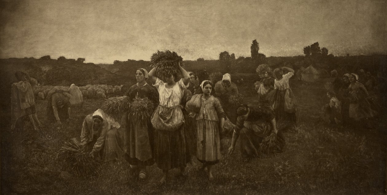 Kutsu keräilijöille tekijältä Adolphe Braun
