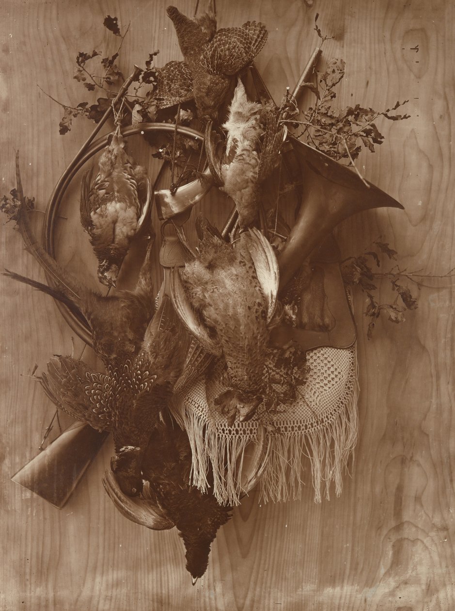 Fasaani ja Grouse, n. 1865. tekijältä Adolphe Braun
