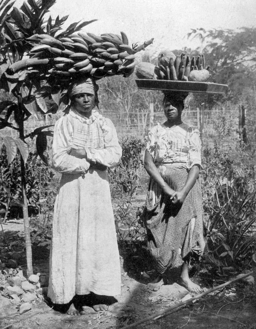 Hedelmäkauppiaat, Jamaika, c1905 tekijältä Adolphe Duperly and Son