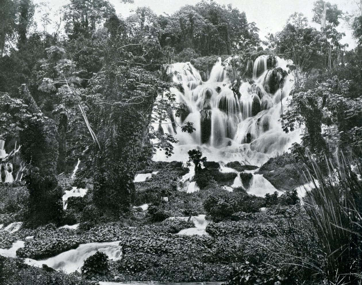 Roaring River Falls, Jamaika, 1905. tekijältä Adolphe Duperly and Son