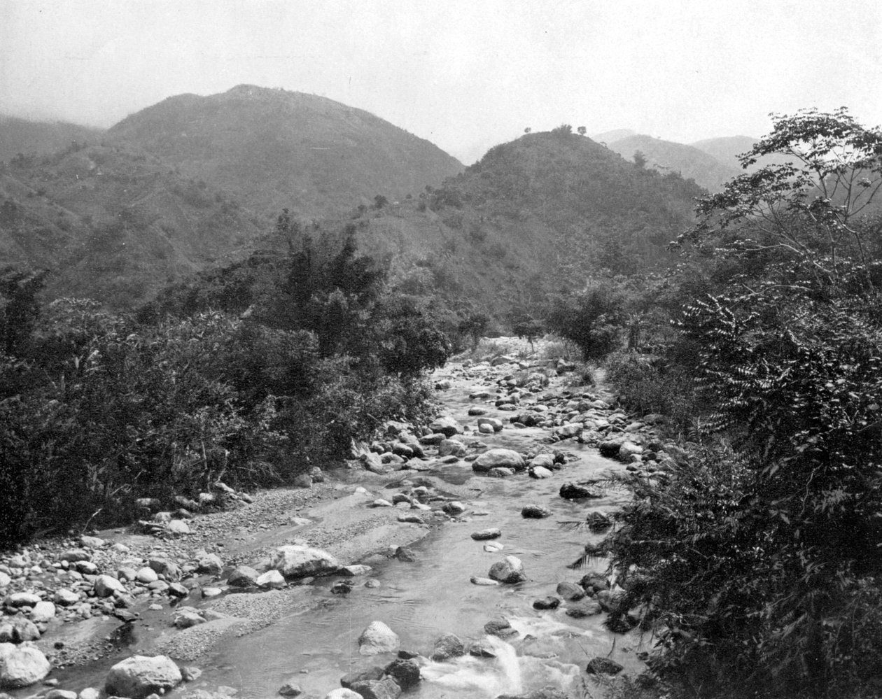Wag-River, Castleton, Jamaika, 1905. tekijältä Adolphe Duperly and Son