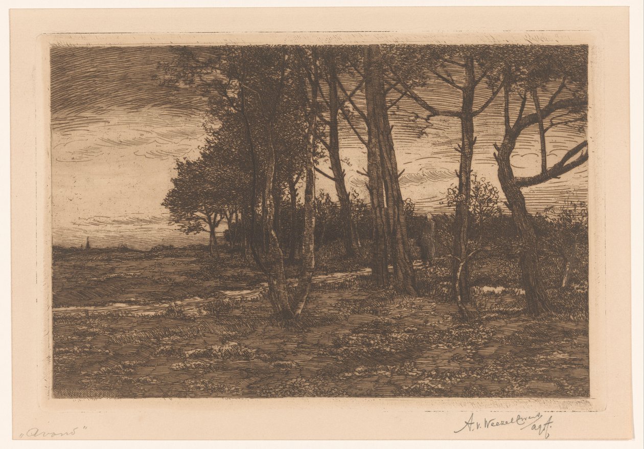 Maisema puiden kanssa Ilta (otsikko esineessä) tekijältä Adolphe P.H J. van Weezel Errens (signed by artist)