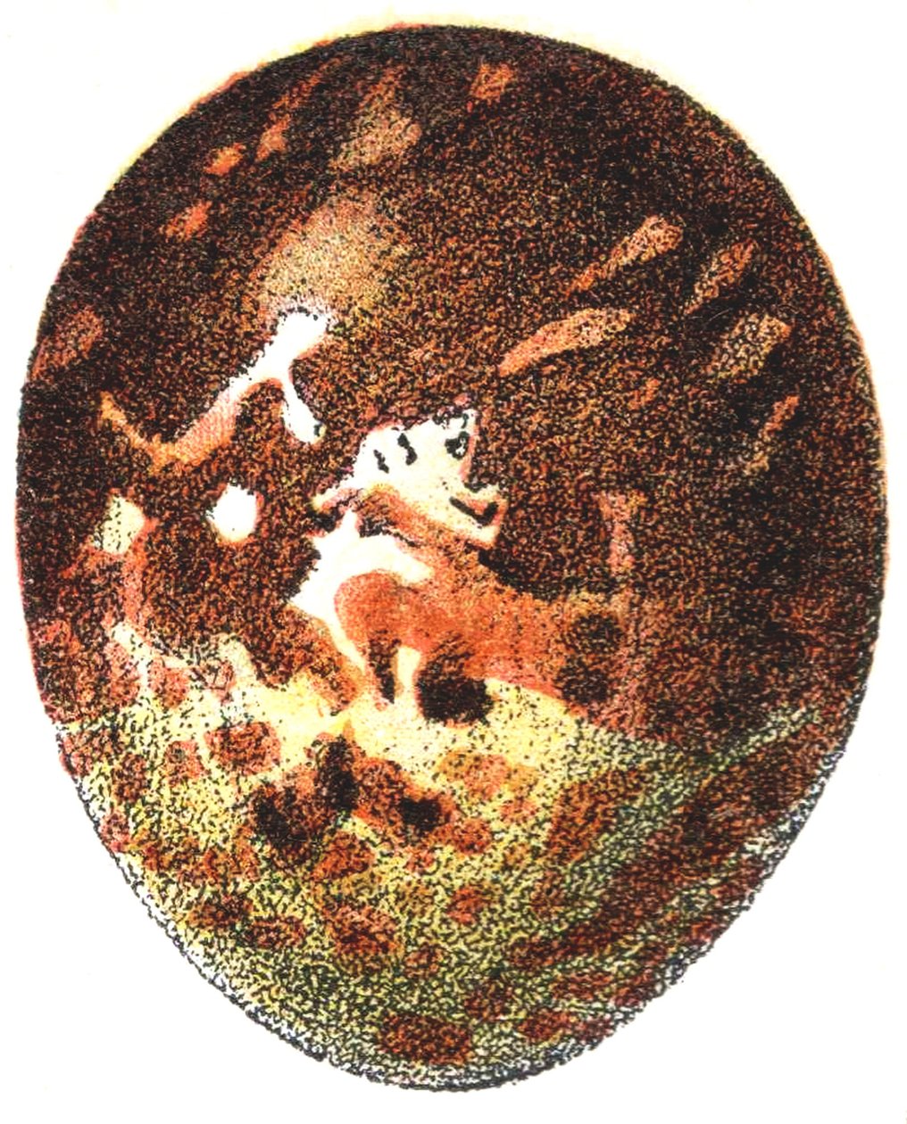 Hunajahaukan (Pernis apivorus) muna, 1923 tekijältä Adolphe Philippe Millot