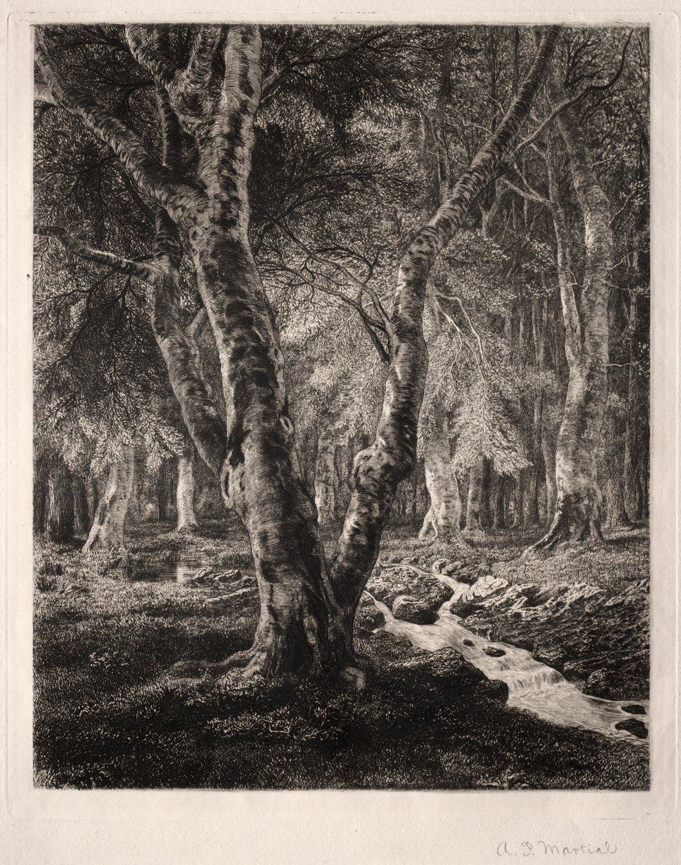 Pierrefondsin metsä tekijältä Adolphe Théodore Jules Martial Potémont