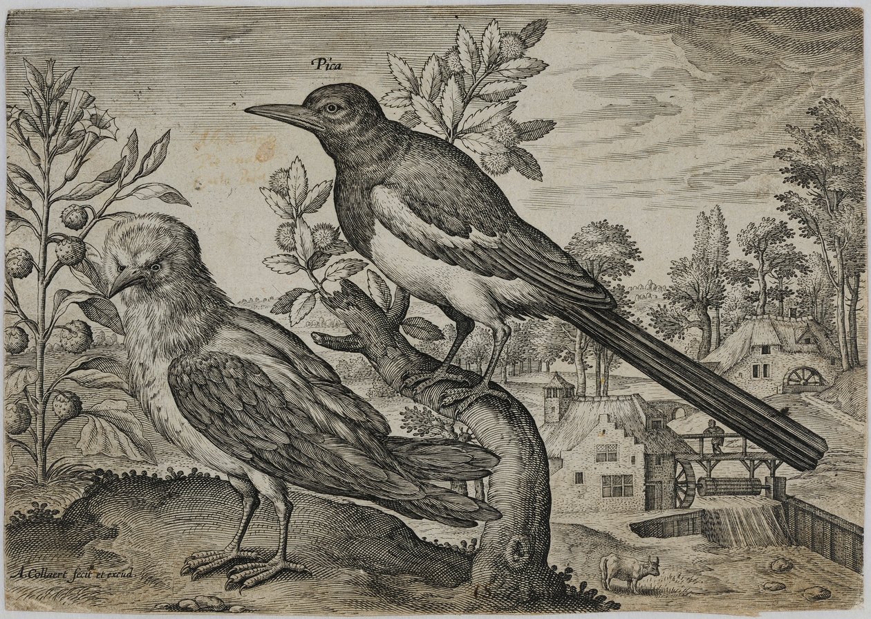 Old Master Kaiverrus tekijältä Adriaen Collaert