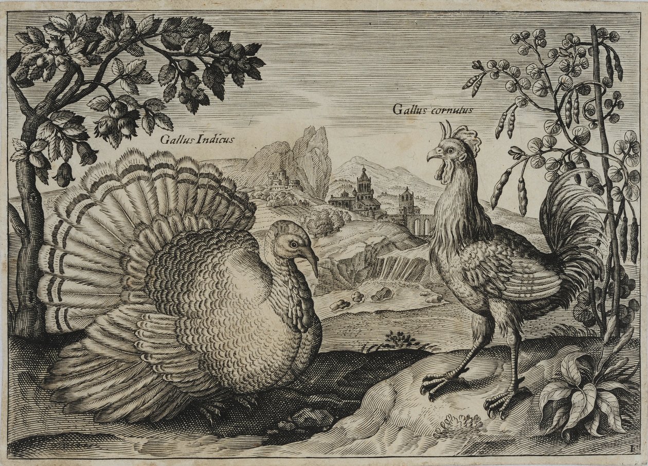 Old Master Kaiverrus tekijältä Adriaen Collaert