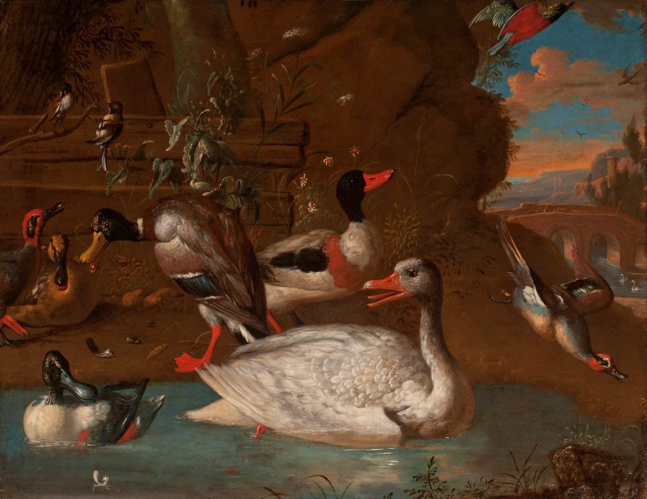 Norjalainen valkohanhi ämpyrän, sinisorsan, lapioiden, sinivihreiden ja pitkähäntätissien ympäröimänä italialaisessa maisemassa Twilightissa, 1703 tekijältä Adriaen van Oolen