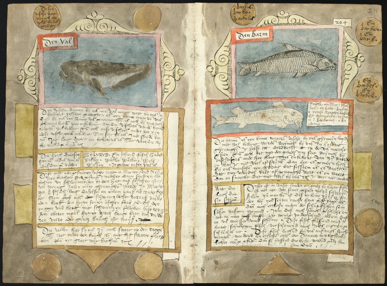 Adriaen Coenenin Visboeck - KB 78 E 54 - folio 210v (vasen) ja 211r (oikea) tekijältä Adriaen Coenen