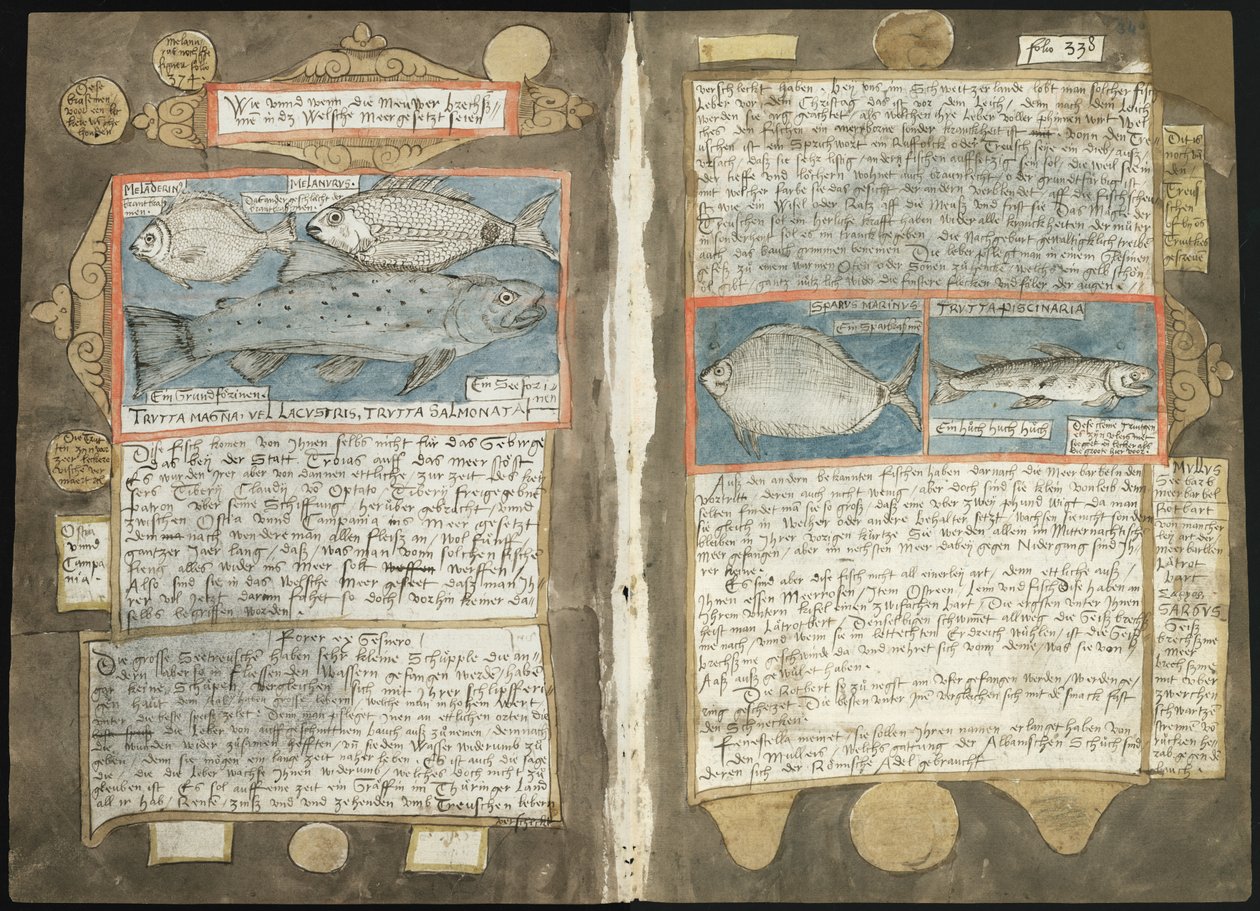 Adriaen Coenenin Visboeck - KB 78 E 54 - folios 339v (vasen) ja 340r (oikea) tekijältä Adriaen Coenen