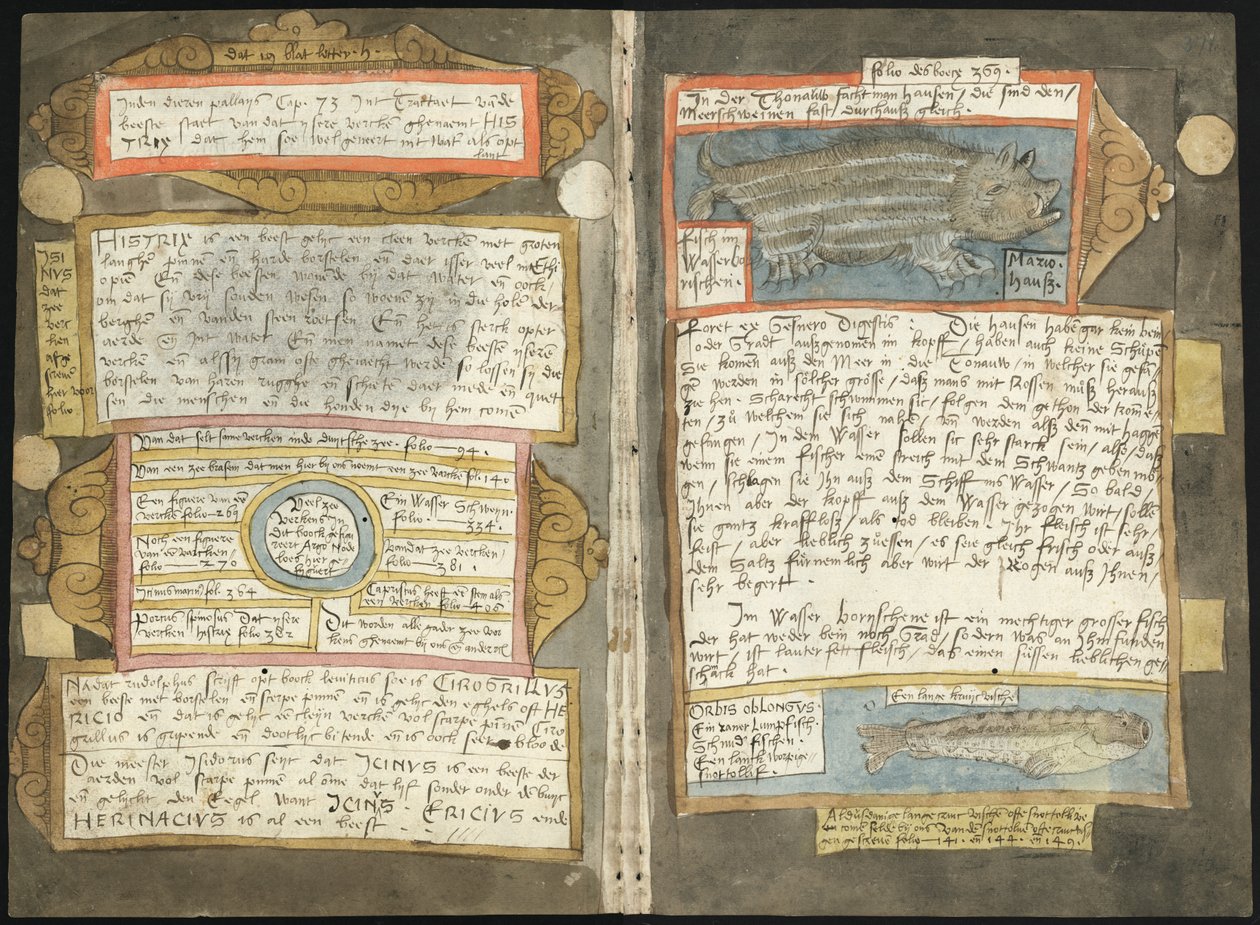 Adriaen Coenenin Visboeck - KB 78 E 54 - folio 370v (vasen) ja 371r (oikea) tekijältä Adriaen Coenen