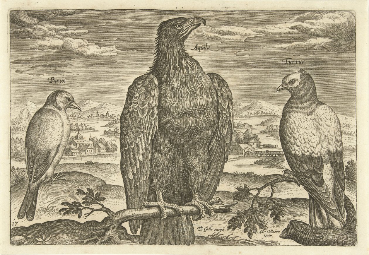 Kolme lintua maisemassa Avium Vivae (sarjan nimi) Linnut (sarjan nimi) tekijältä Adriaen Collaert