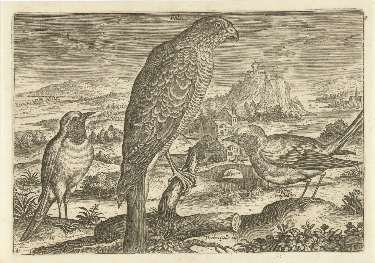 Muutama lintu maisemassa Linnut (sarjan nimi) Avivm vivae (sarjan nimi) tekijältä Adriaen Collaert