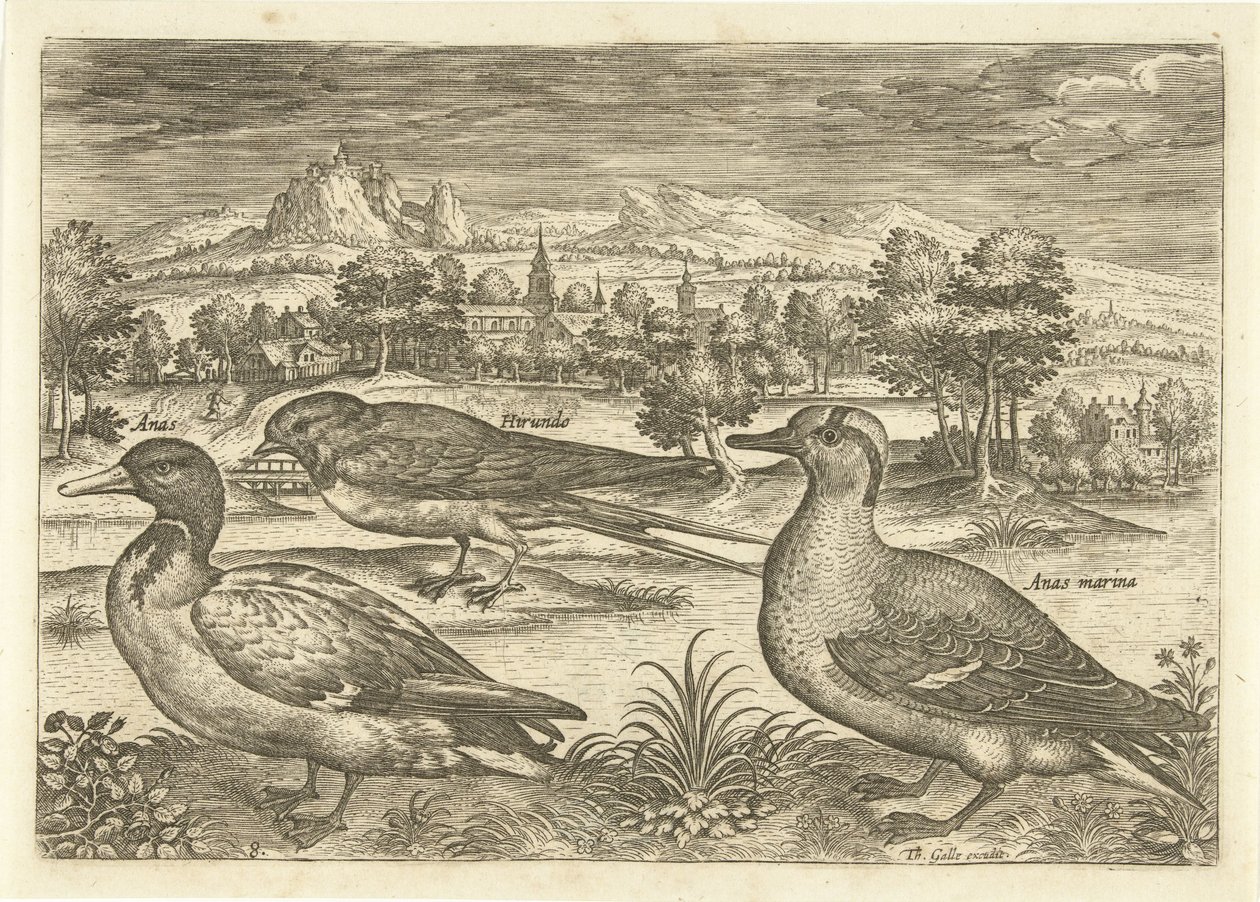 Muutama lintu maisemassa Linnut (sarjan nimi) Avivm vivae (sarjan nimi) tekijältä Adriaen Collaert