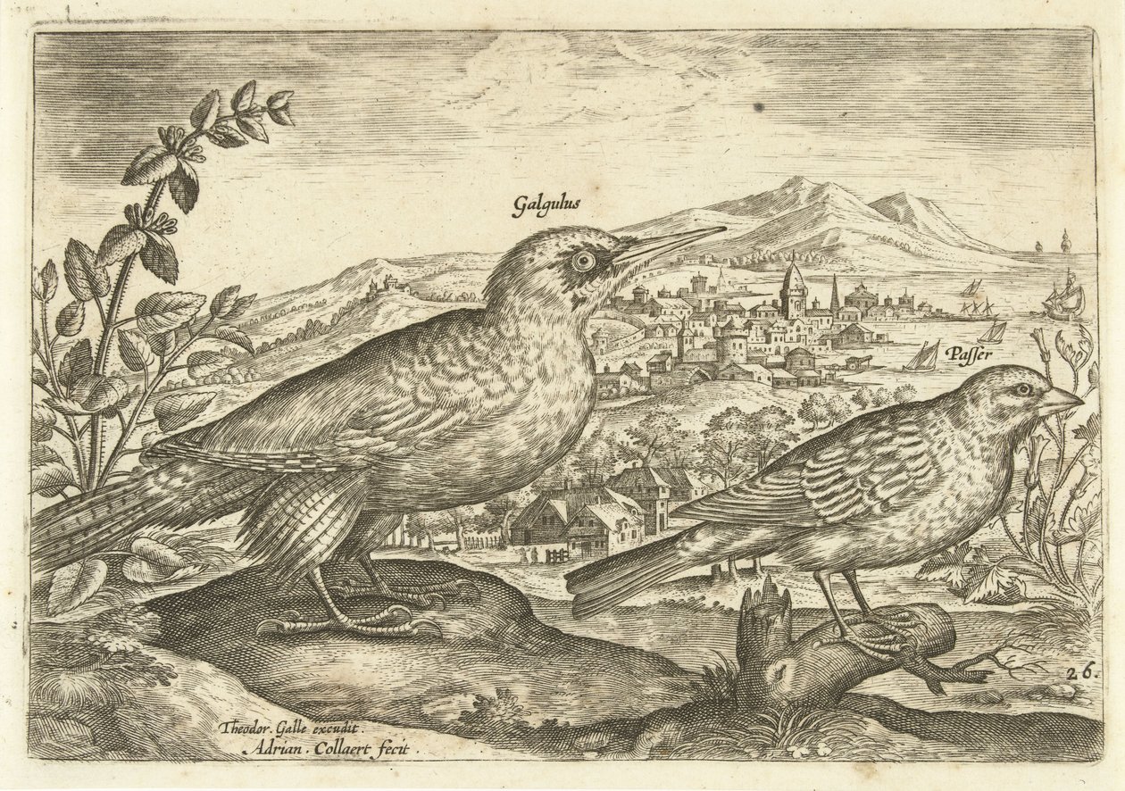 Kaksi lintua maisemassa Avium Vivae (sarjan nimi) Linnut (sarjan nimi) tekijältä Adriaen Collaert