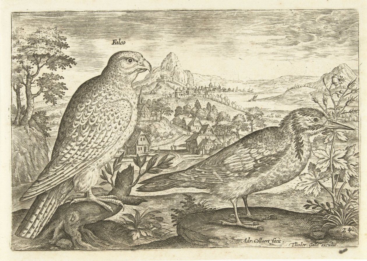 Kaksi lintua maisemassa Avium Vivae (sarjan nimi) Linnut (sarjan nimi) tekijältä Adriaen Collaert