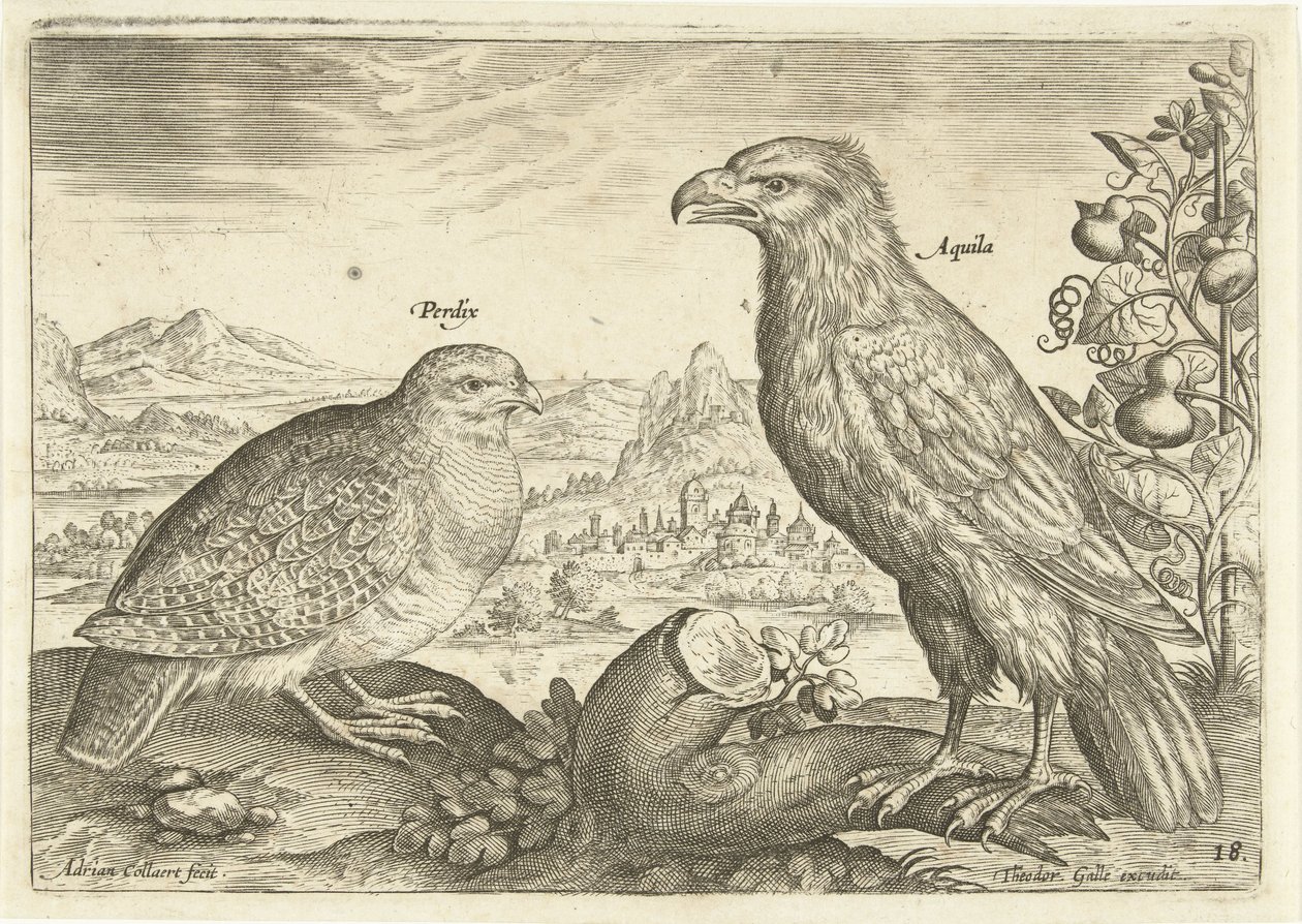 Kaksi lintua maisemassa Avium Vivae (sarjan nimi) Linnut (sarjan nimi) tekijältä Adriaen Collaert
