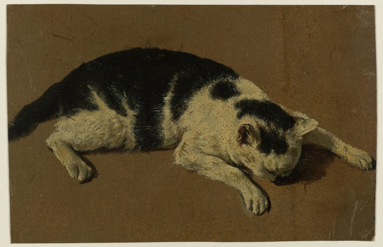 Kissa makaa pää etujalkojen välissä tekijältä Adriaen van de Velde (attributed to)