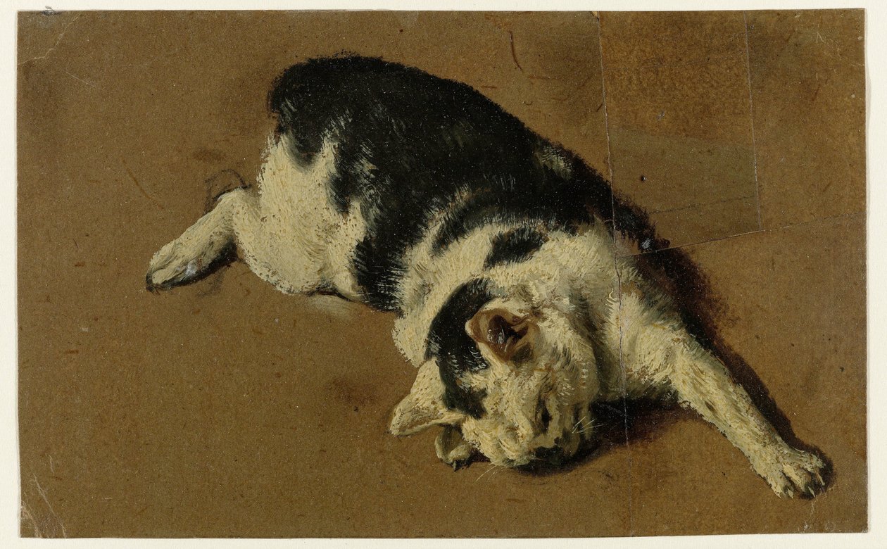 Kissa makaa kyljellään, vasen etujalka ojennettuna tekijältä Adriaen van de Velde (attributed to)