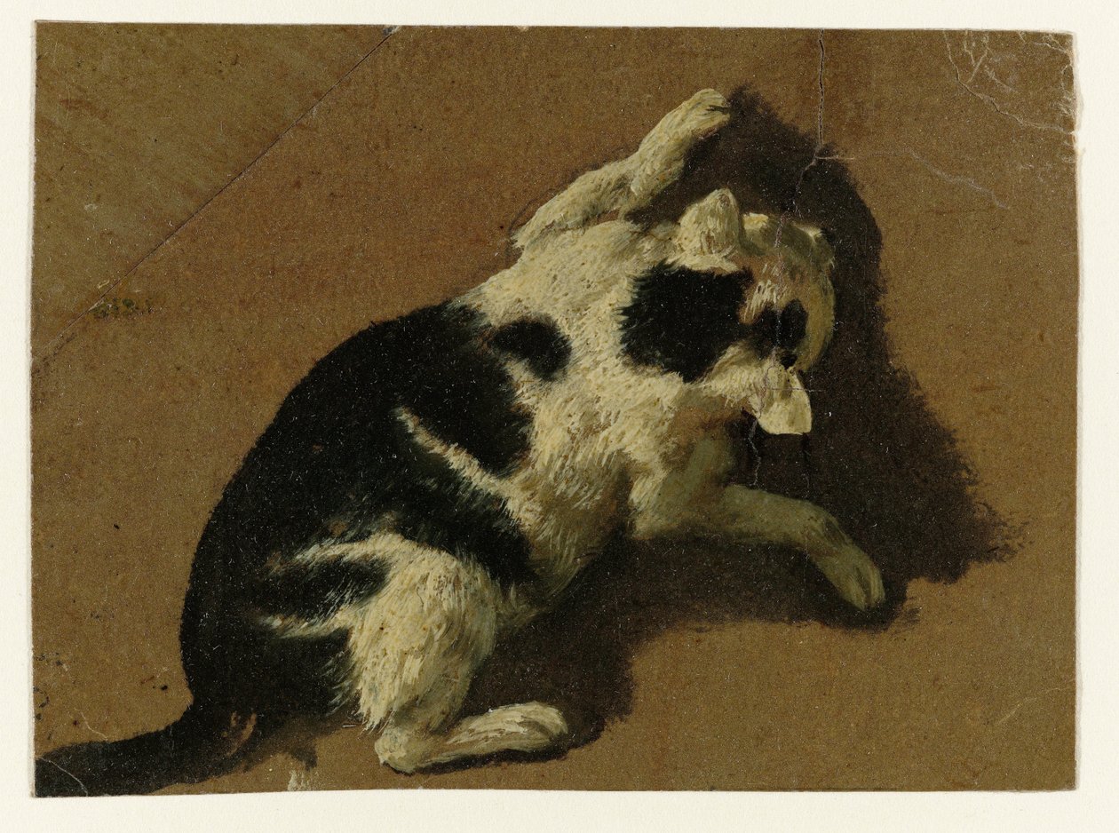 Kissa leikkii lähellä seinää tekijältä Adriaen van de Velde (attributed to)