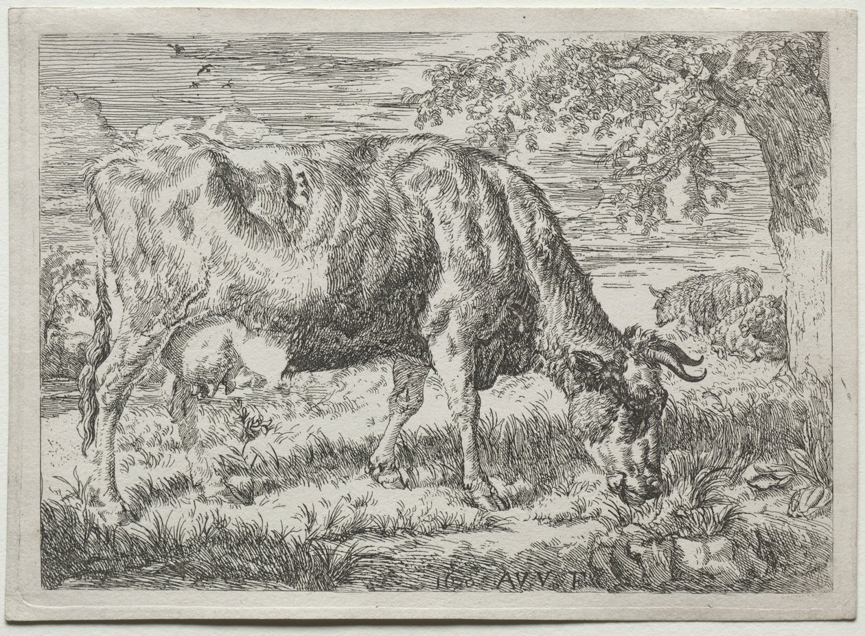 Lehmä ja kaksi lammasta puun juurella, 1670. tekijältä Adriaen van de Velde