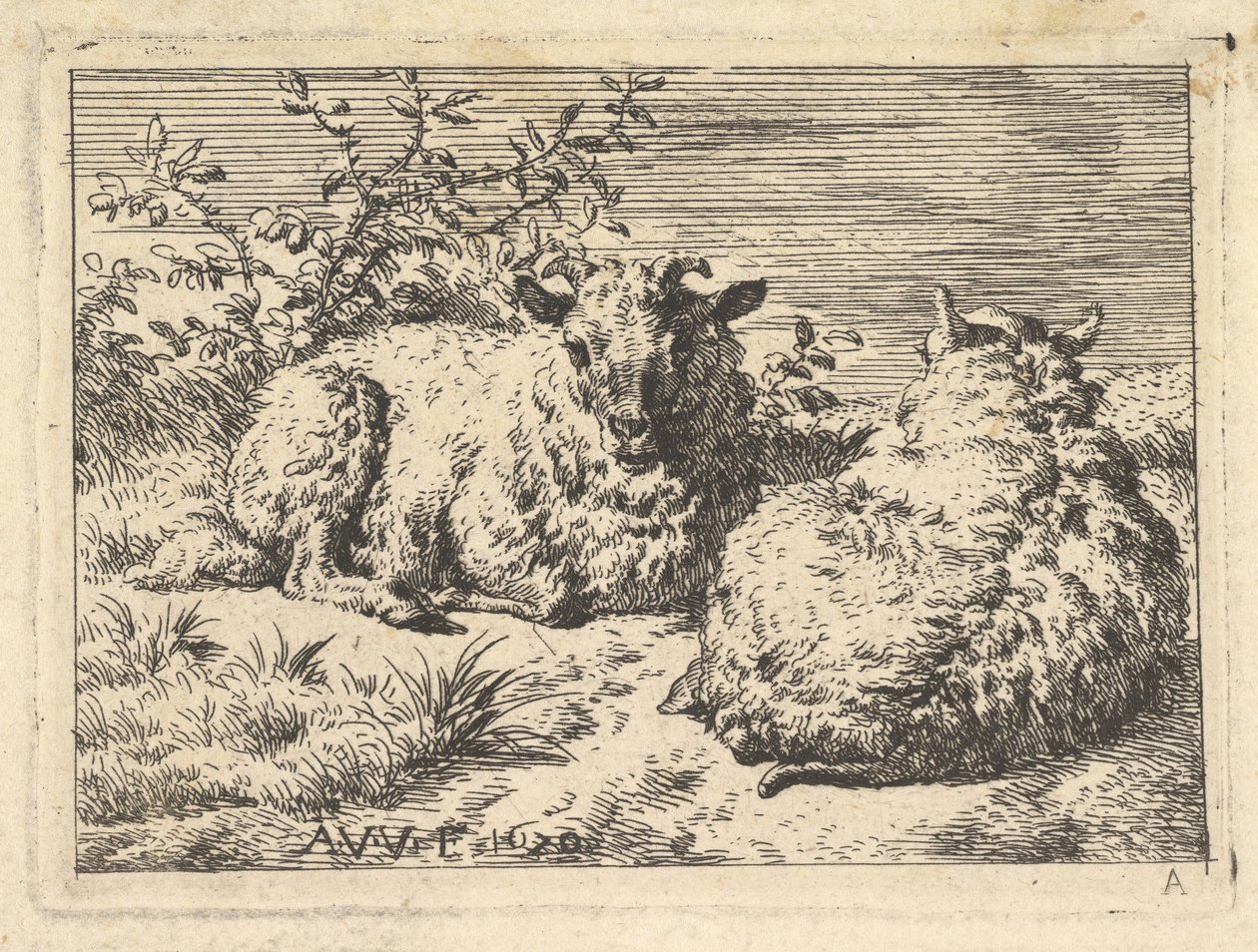 Kaksi makaavaa lammasta, 1670. tekijältä Adriaen van de Velde