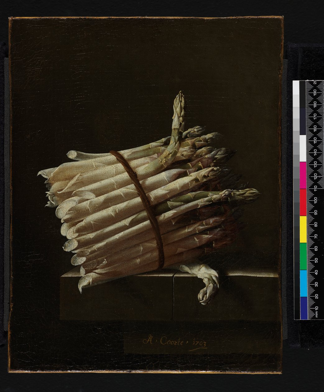 Parsa nippu, 1703 tekijältä Adrian Coorte