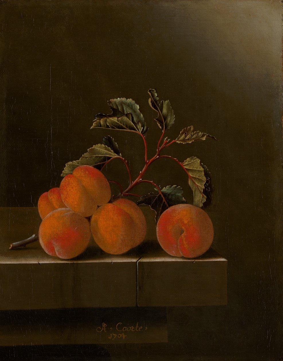 Asetelma viiden aprikoosin kanssa, 1704 tekijältä Adrian Coorte
