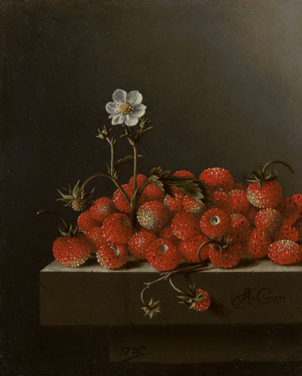 Asetelma metsämansikoiden kanssa, 1705 (öljy paperille paneelissa) tekijältä Adrian Coorte