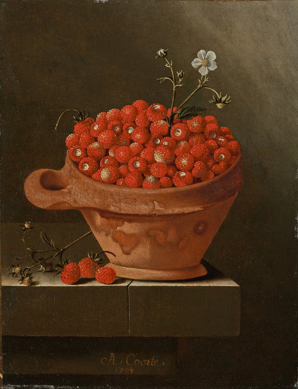 Asetelma mansikoiden kanssa saviruukussa, 1704 tekijältä Adrian Coorte
