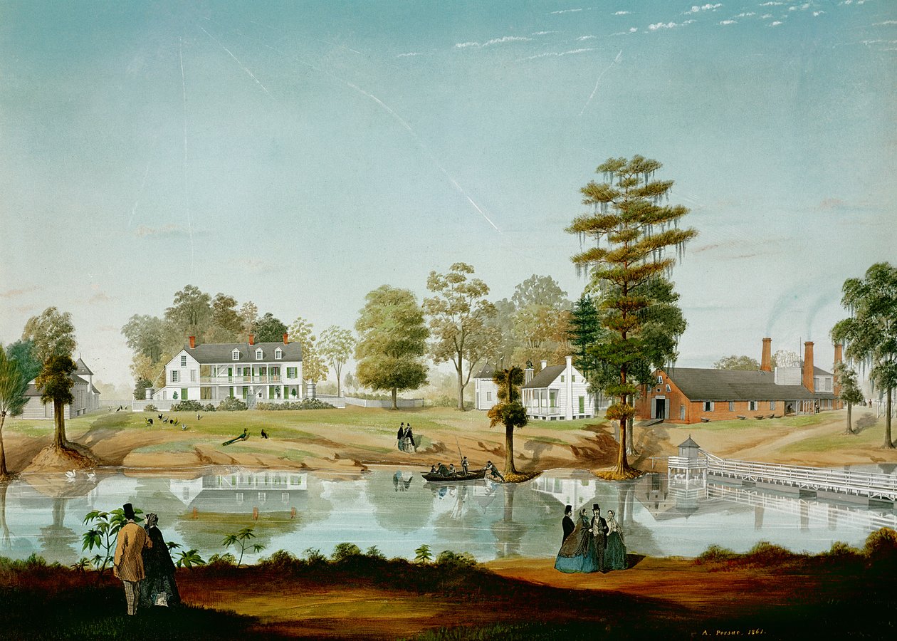 Olivierin istutus, 1861 tekijältä Adrien Persac