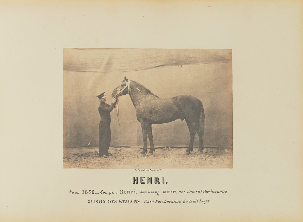 Henri tekijältä Adrien Alban Tournachon