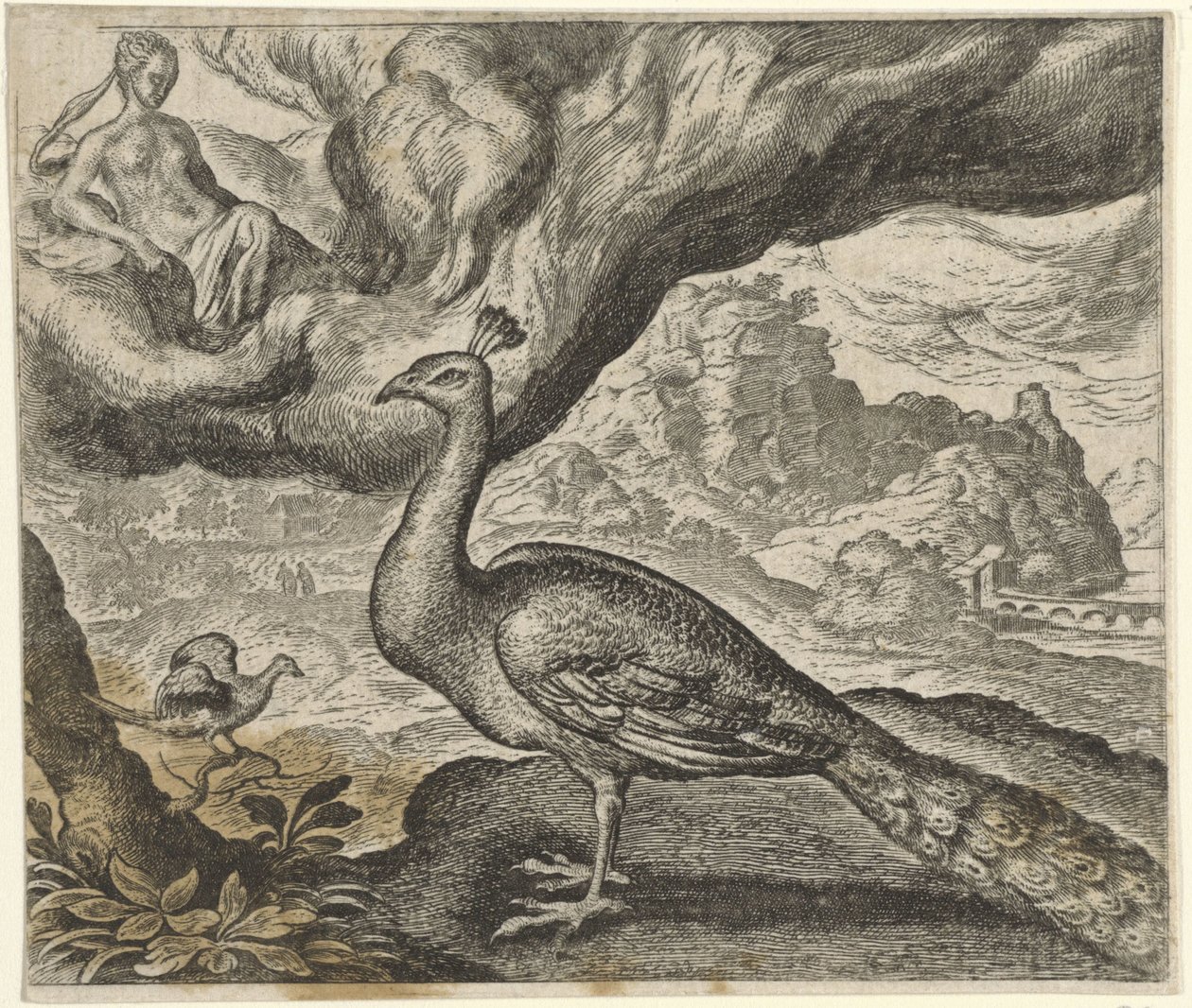 Fable of the Peacock and the Nightingale tekijältä Egidius  Sadeler (II)