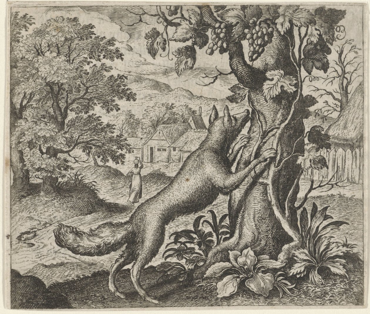 Fable of the Fox and the Grapes tekijältä Egidius  Sadeler (II)
