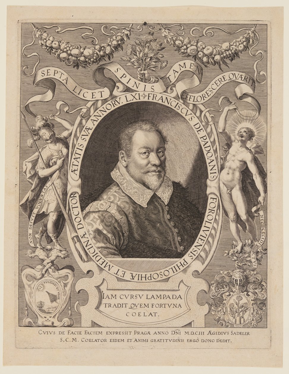 Franciscus de Padoanis Foroliviensis (Fransiskus Forlilainen) tekijältä Aegidius Sadeler II
