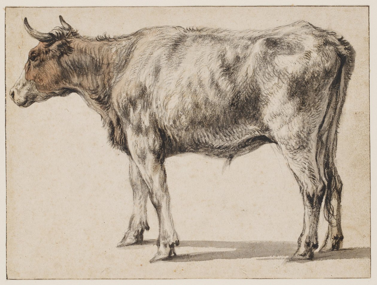 Seisova nuori sonni tekijältä Aelbert Cuyp