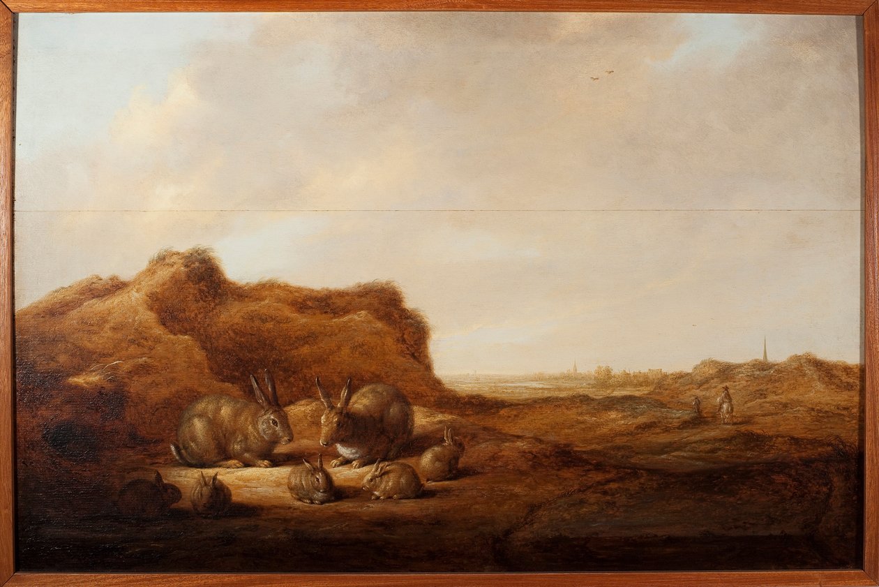 Maisema kanien kanssa Albert (Aelbert tai Aelbrecht) Cuyp (1620-1691) 1641-1642 Dim. 44x67 cm Genes, Musei di Strada Nuova (ex Palazzo Rosso) tekijältä Aelbert Cuyp