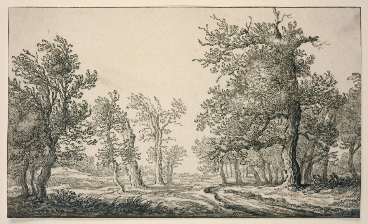 Polku tammimetsän läpi tekijältä Aelbert Cuyp