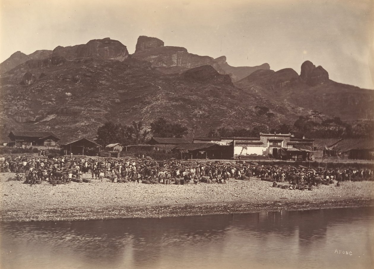 Duck Market, n. 1869. tekijältä Afong Lai