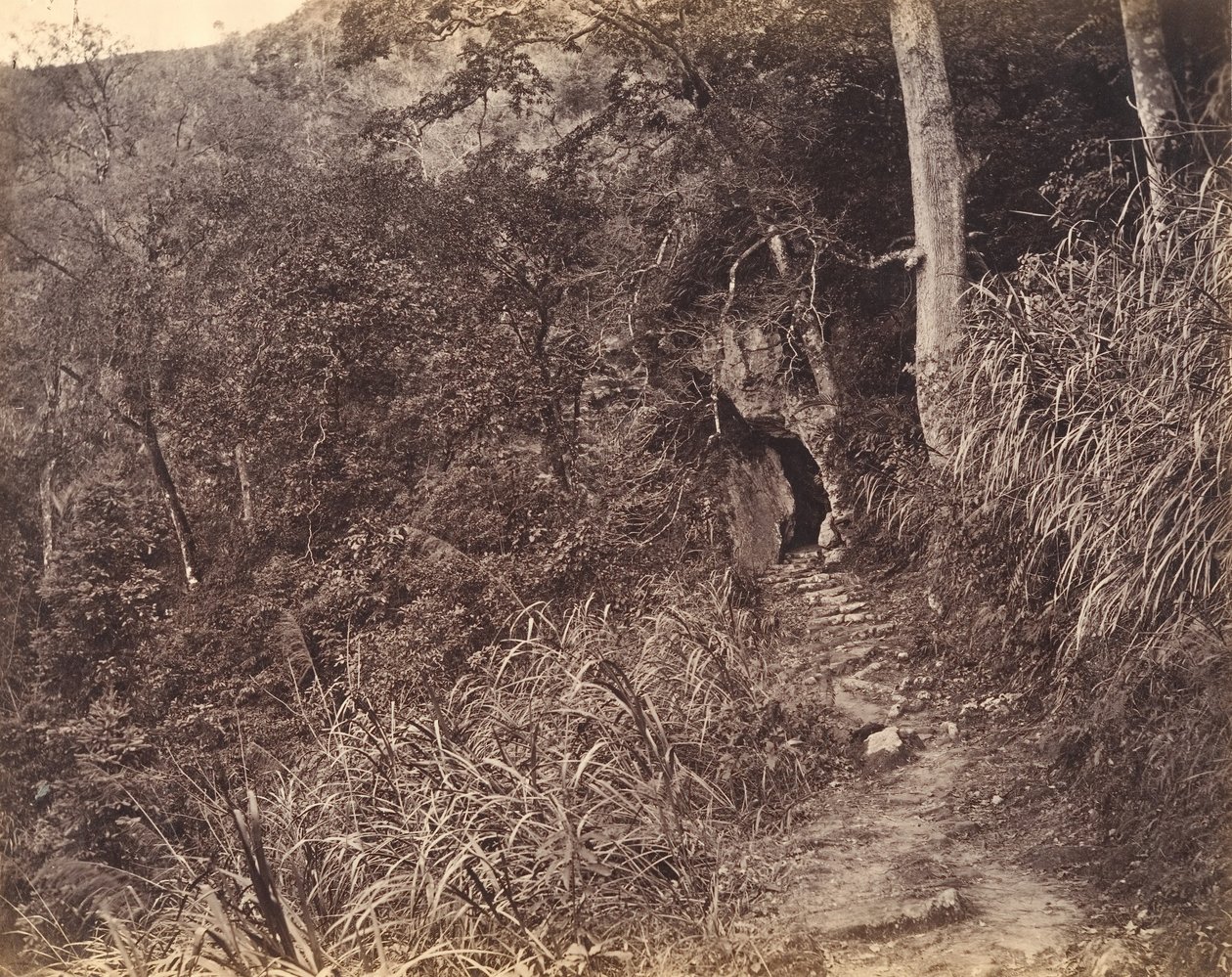 Vasen tie Yuen foon luostariin, n. 1869. tekijältä Afong Lai