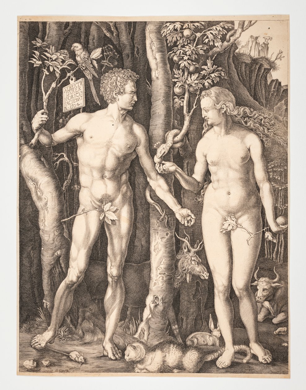Aatami ja Eeva Eedenin puutarhassa - Albrecht Durer - 20-1932-109 tekijältä After Albrecht Dürer