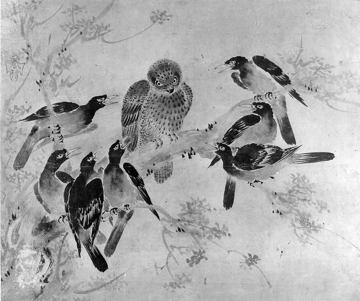 Mynah-linnut hyökkäävät pöllöä vastaan, luultavasti 1800-luvulta. tekijältä after Sesson Shūkei