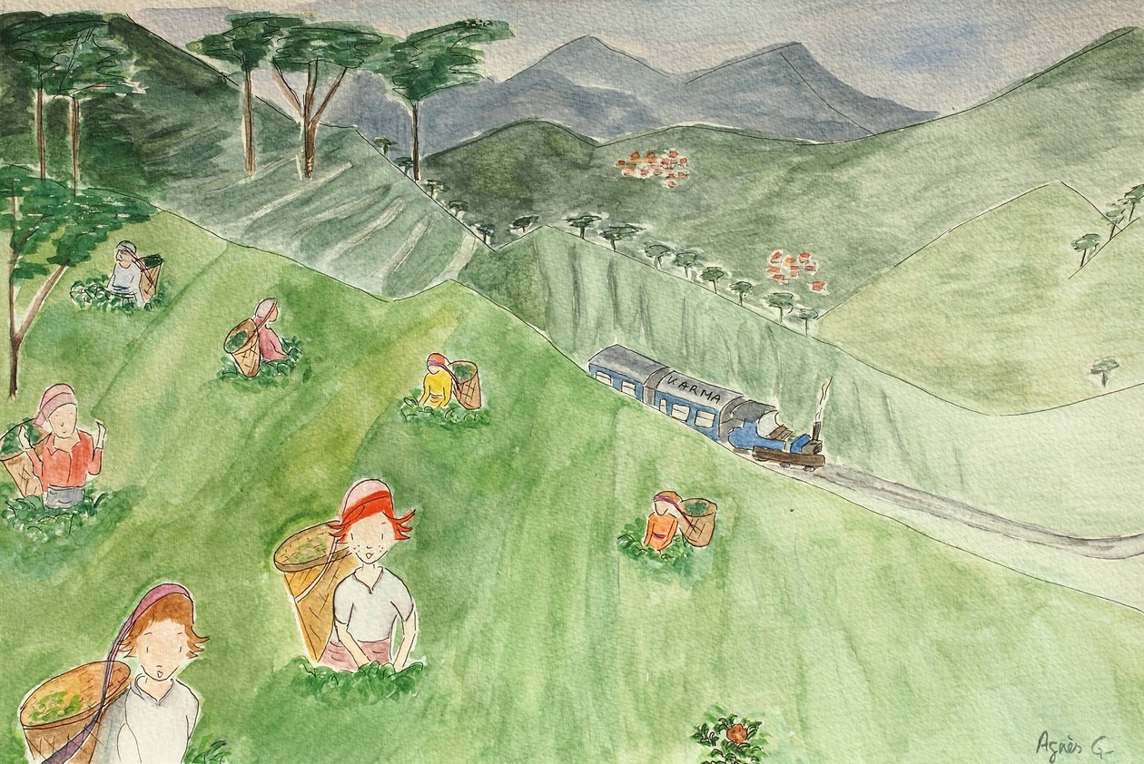 The Voyage, Darjeeling 2015, akvarelli paperille tekijältä Agnes Girardon