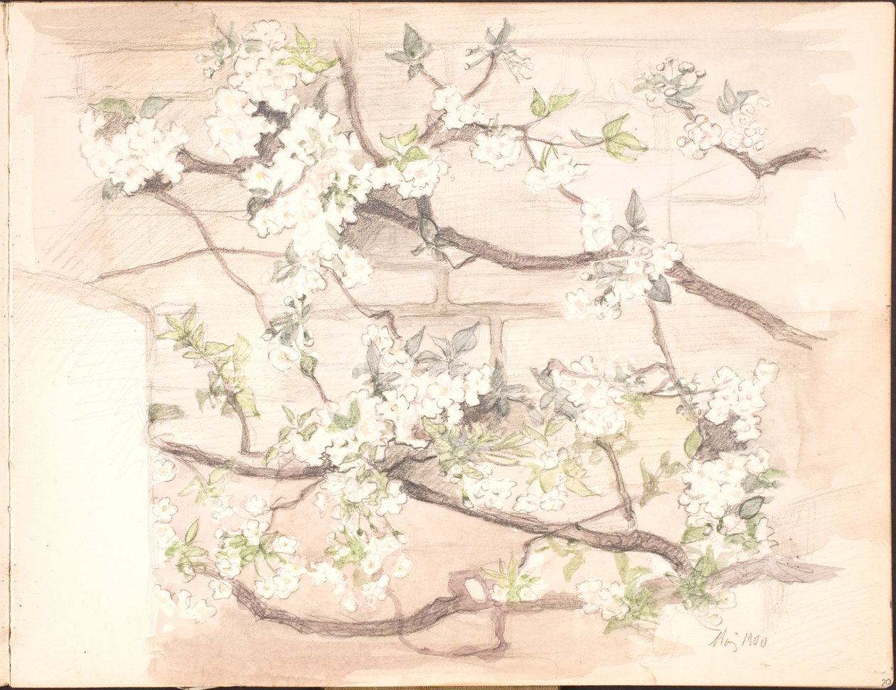 Luonnoskirja. Heinäkuu 1899 - kesäkuu 1901 tekijältä Agnes Slott Møller