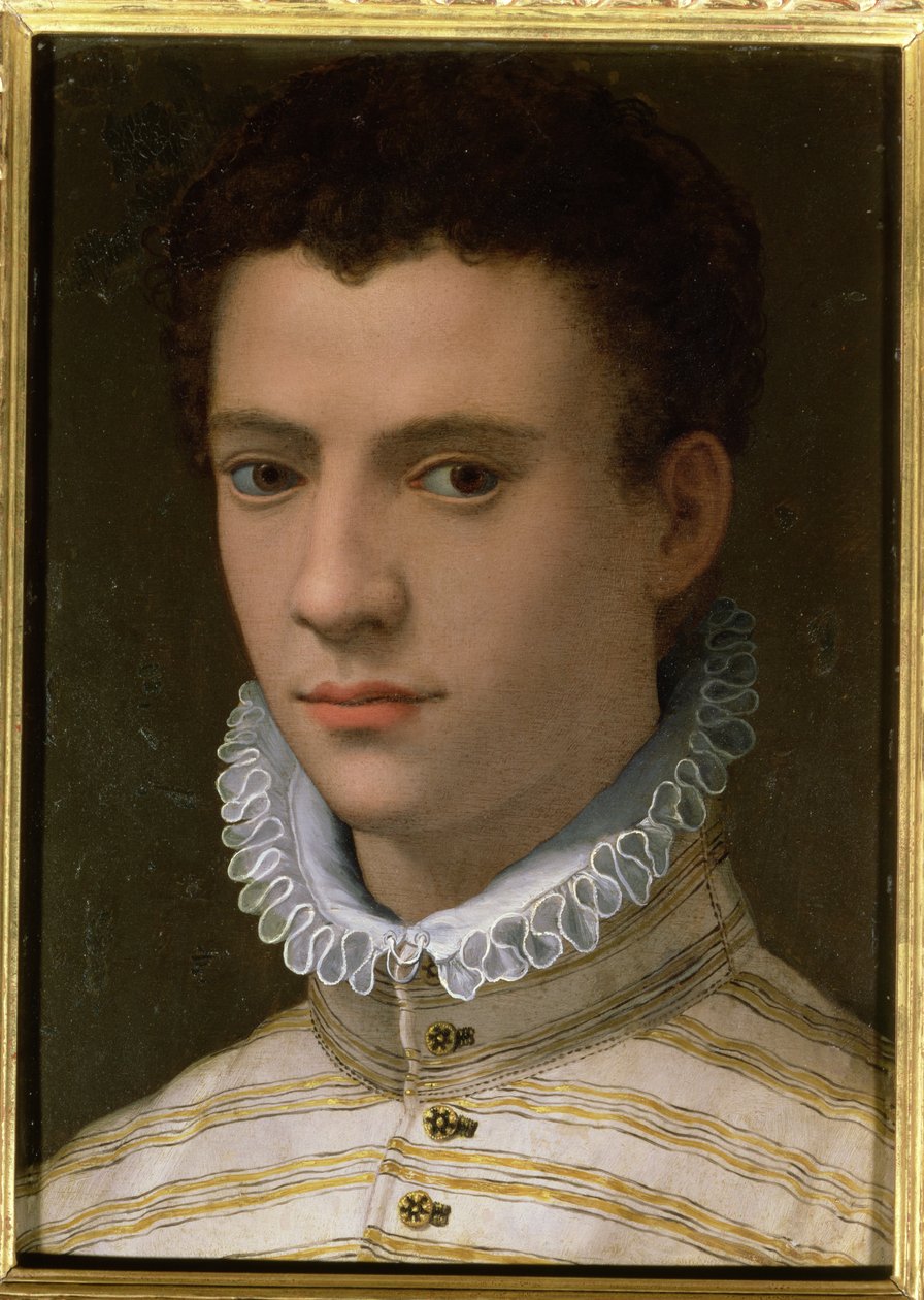 Nuoren miehen muotokuva (öljy kuparille) tekijältä Agnolo Bronzino