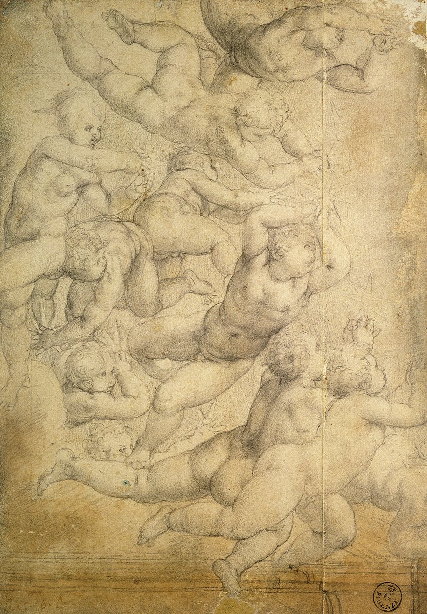 Putti (liitu paperille) tekijältä Agnolo Bronzino
