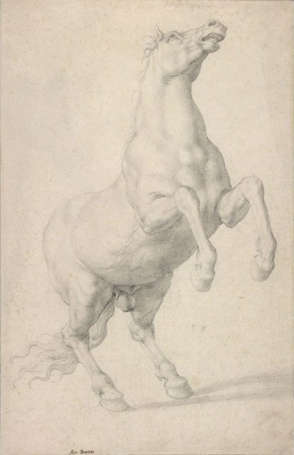 Kasvatushevonen tekijältä Agnolo Bronzino