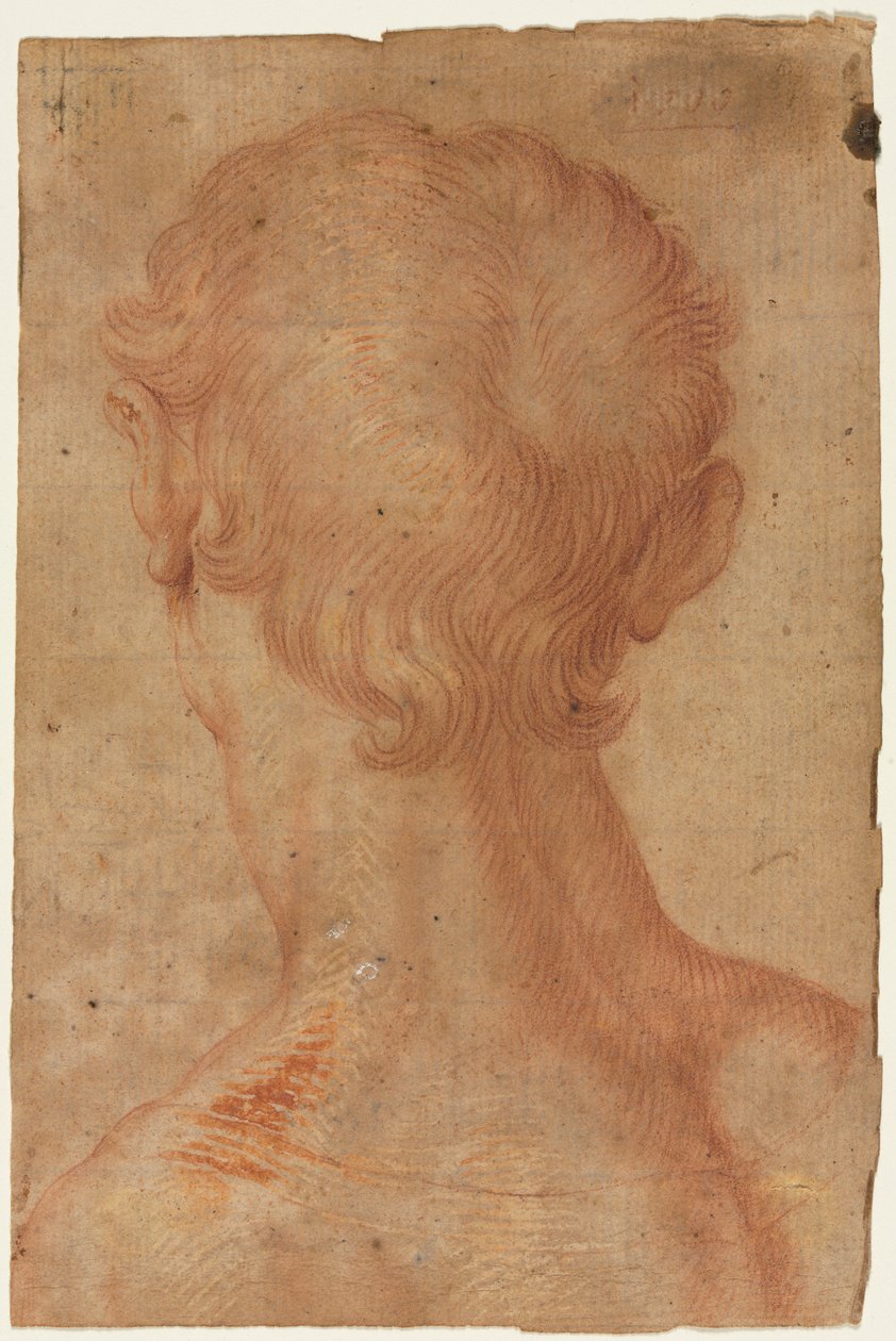 Männerkopf von hinten tekijältä Agnolo Bronzino