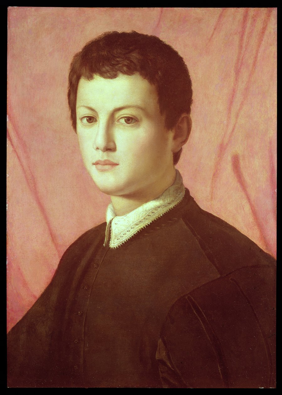 Nuoren miehen muotokuva (paneeli) tekijältä Agnolo Bronzino